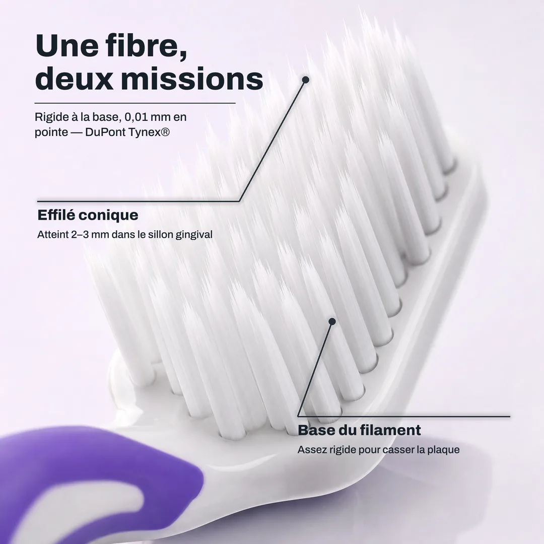 Une fibre, deux missions — Rigide à la base, 0,01 mm en pointe — DuPont Tynex® · Effilé conique: Atteint 2–3 mm dans le sillon gingival · Base du filament: Assez rigide pour casser la plaque