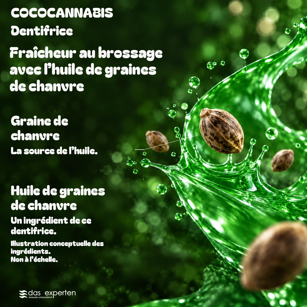 COCOCANNABIS · Fraîcheur au brossage · avec l’huile de graines de chanvre · Illustration conceptuelle des ingrédients. · Non à l’échelle.