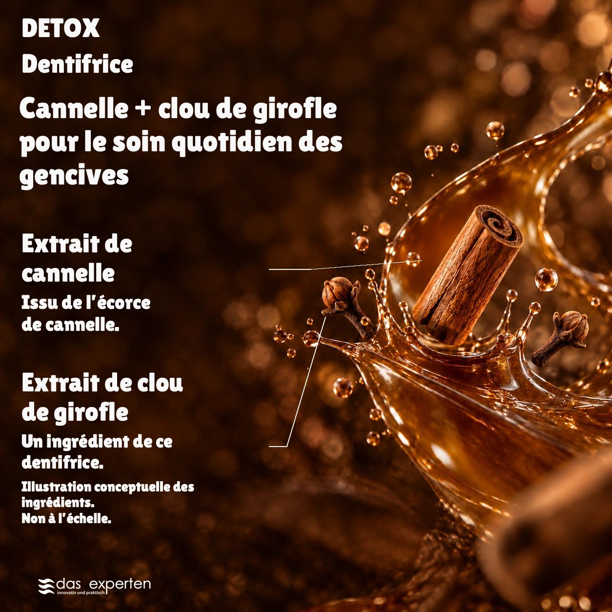 DETOX · Cannelle + clou de girofle · pour le soin quotidien des gencives · Illustration conceptuelle des ingrédients. · Non à l’échelle.