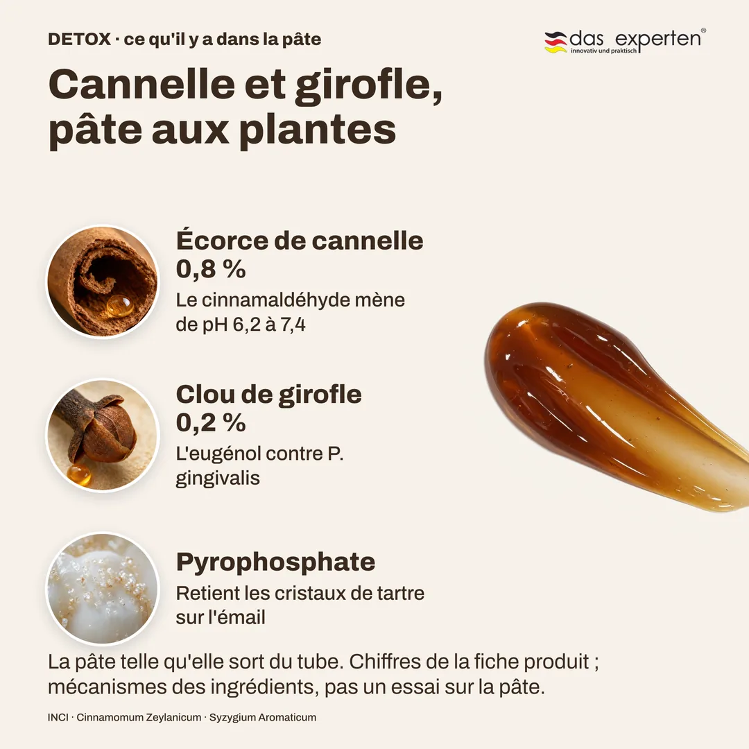 Cannelle et girofle, pâte aux plantes — Écorce de cannelle 0,8 %; Clou de girofle 0,2 %; Pyrophosphate