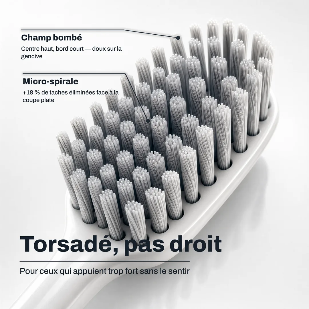 Torsadé, pas droit — Pour ceux qui appuient trop fort sans le sentir · Micro-spirale: +18 % de taches éliminées face à la coupe plate · Champ bombé: Centre haut, bord court — doux sur la gencive