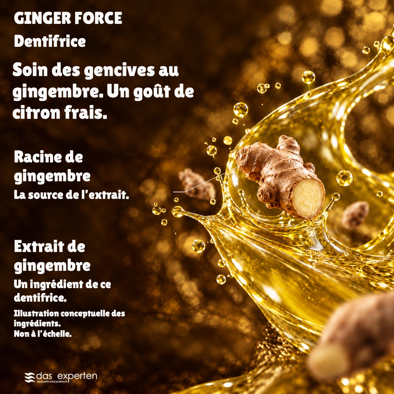 GINGER FORCE · Soin des gencives au gingembre. · Un goût de citron frais. · Illustration conceptuelle des ingrédients. · Non à l’échelle.