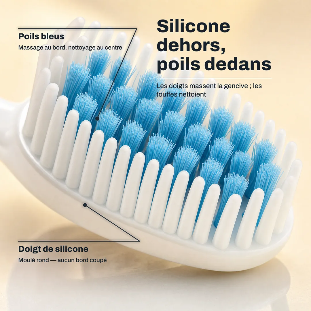 Silicone dehors, poils dedans — Les doigts massent la gencive ; les touffes nettoient · Doigt de silicone: Moulé rond — aucun bord coupé · Poils bleus: Massage au bord, nettoyage au centre