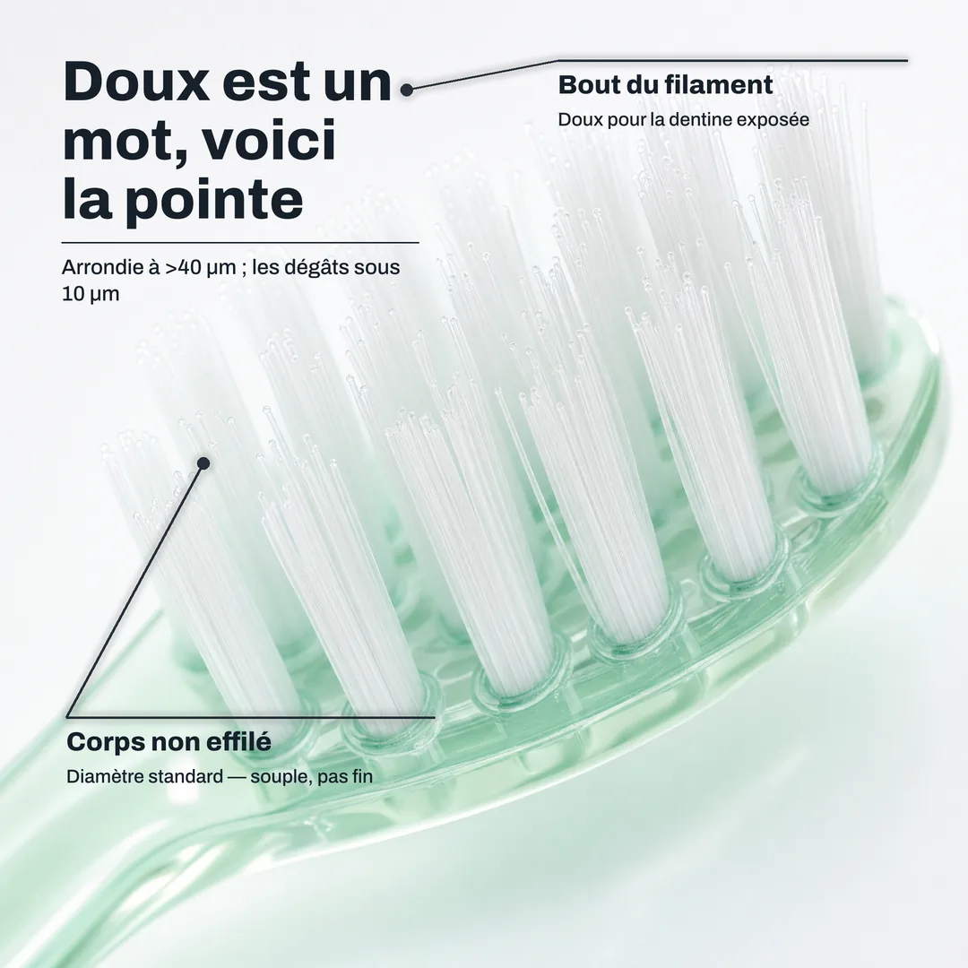 Doux est un mot, voici la pointe — Arrondie à >40 μm ; les dégâts sous 10 μm · Bout du filament: Doux pour la dentine exposée · Corps non effilé: Diamètre standard — souple, pas fin