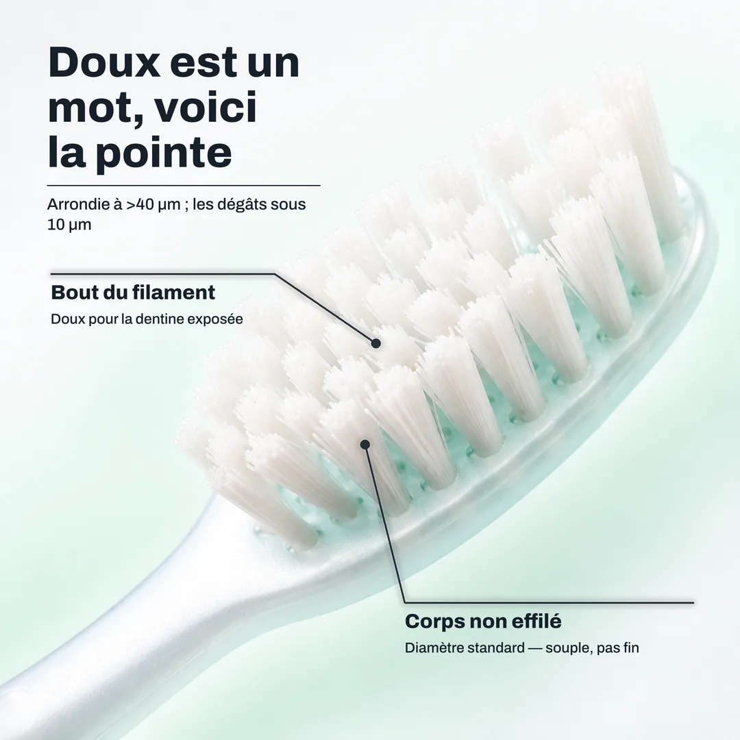 Doux est un mot, voici la pointe — Arrondie à >40 μm ; les dégâts sous 10 μm · Bout du filament: Doux pour la dentine exposée · Corps non effilé: Diamètre standard — souple, pas fin