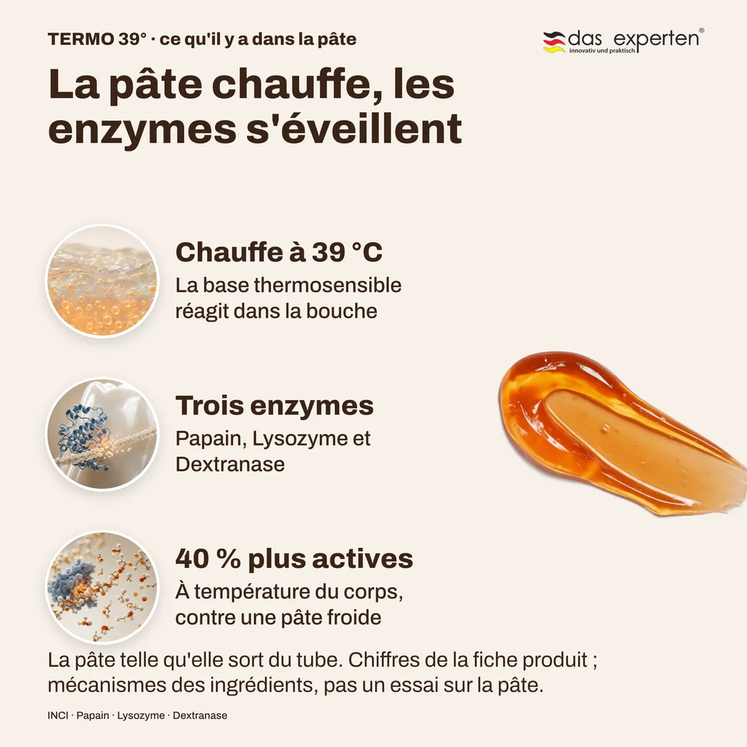 La pâte chauffe, les enzymes s'éveillent — Chauffe à 39 °C; Trois enzymes; 40 % plus actives