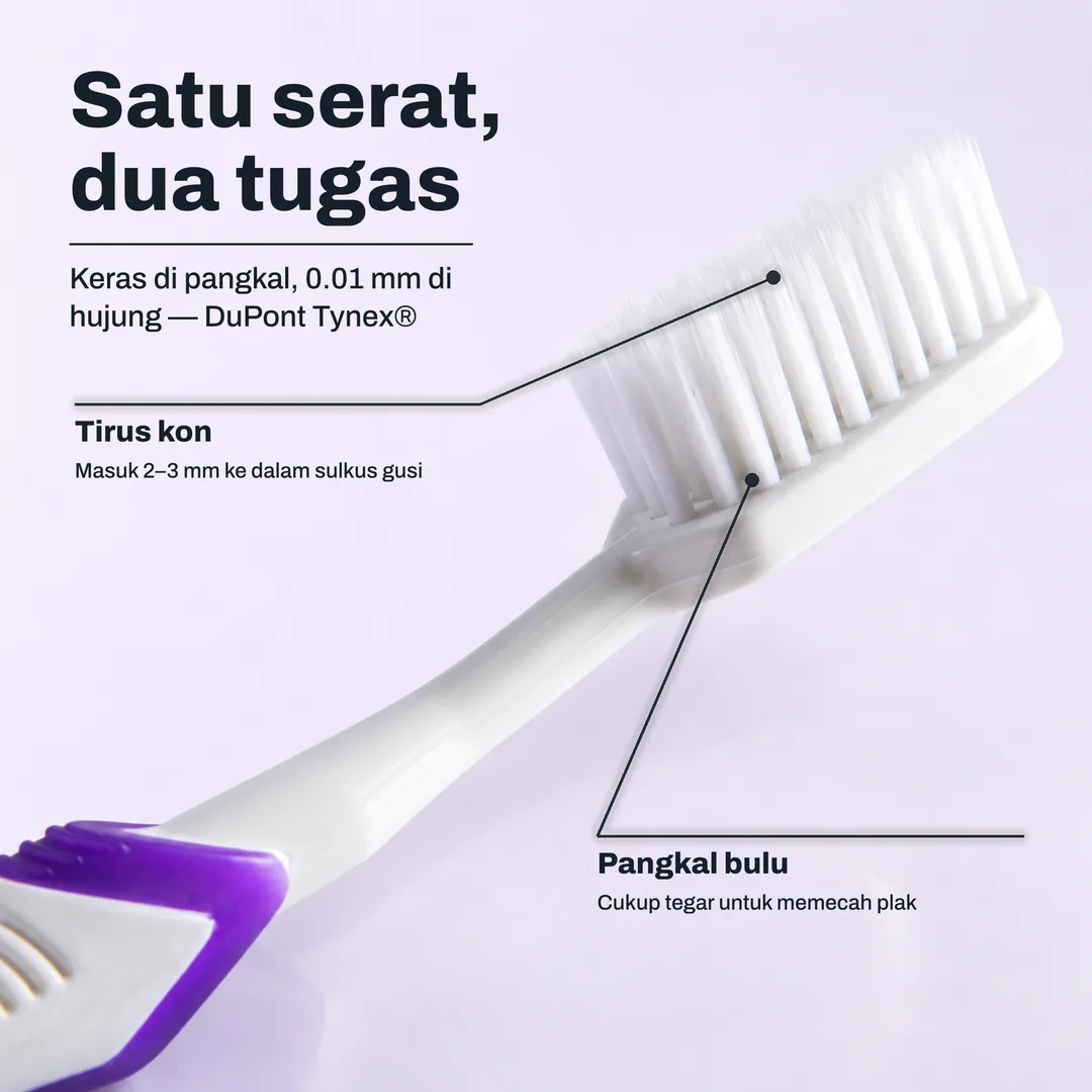 Satu serat, dua tugas — Keras di pangkal, 0.01 mm di hujung — DuPont Tynex® · Tirus kon: Masuk 2–3 mm ke dalam sulkus gusi · Pangkal bulu: Cukup tegar untuk memecah plak
