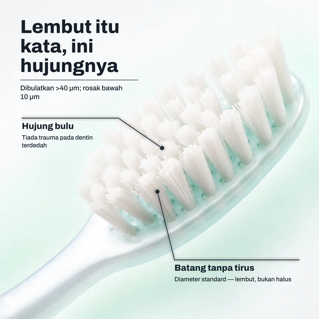 Lembut itu kata, ini hujungnya — Dibulatkan >40 μm; rosak bawah 10 μm · Hujung bulu: Tiada trauma pada dentin terdedah · Batang tanpa tirus: Diameter standard — lembut, bukan halus