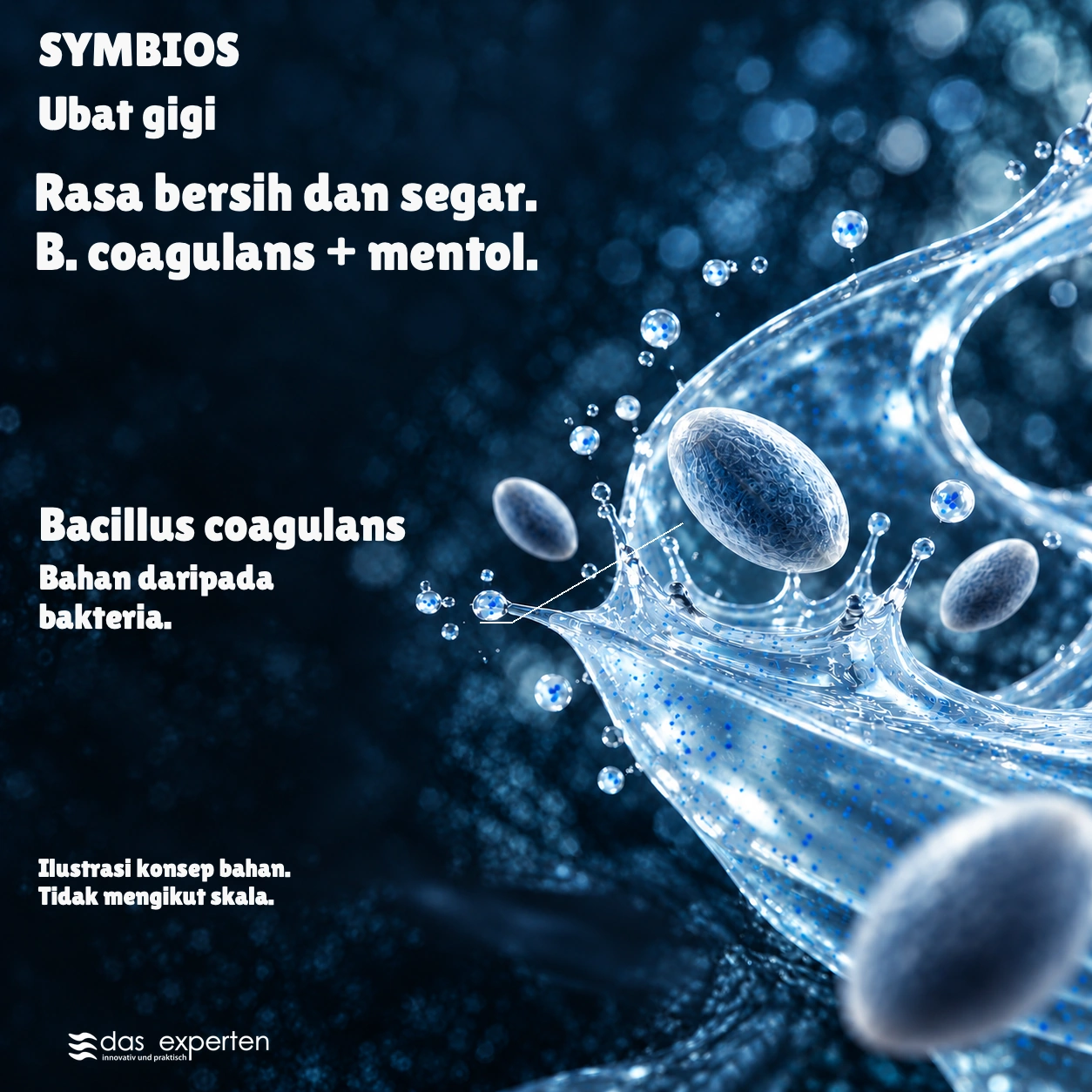 SYMBIOS · Rasa bersih dan segar. · B. coagulans + mentol. · Ilustrasi konsep bahan. · Tidak mengikut skala.