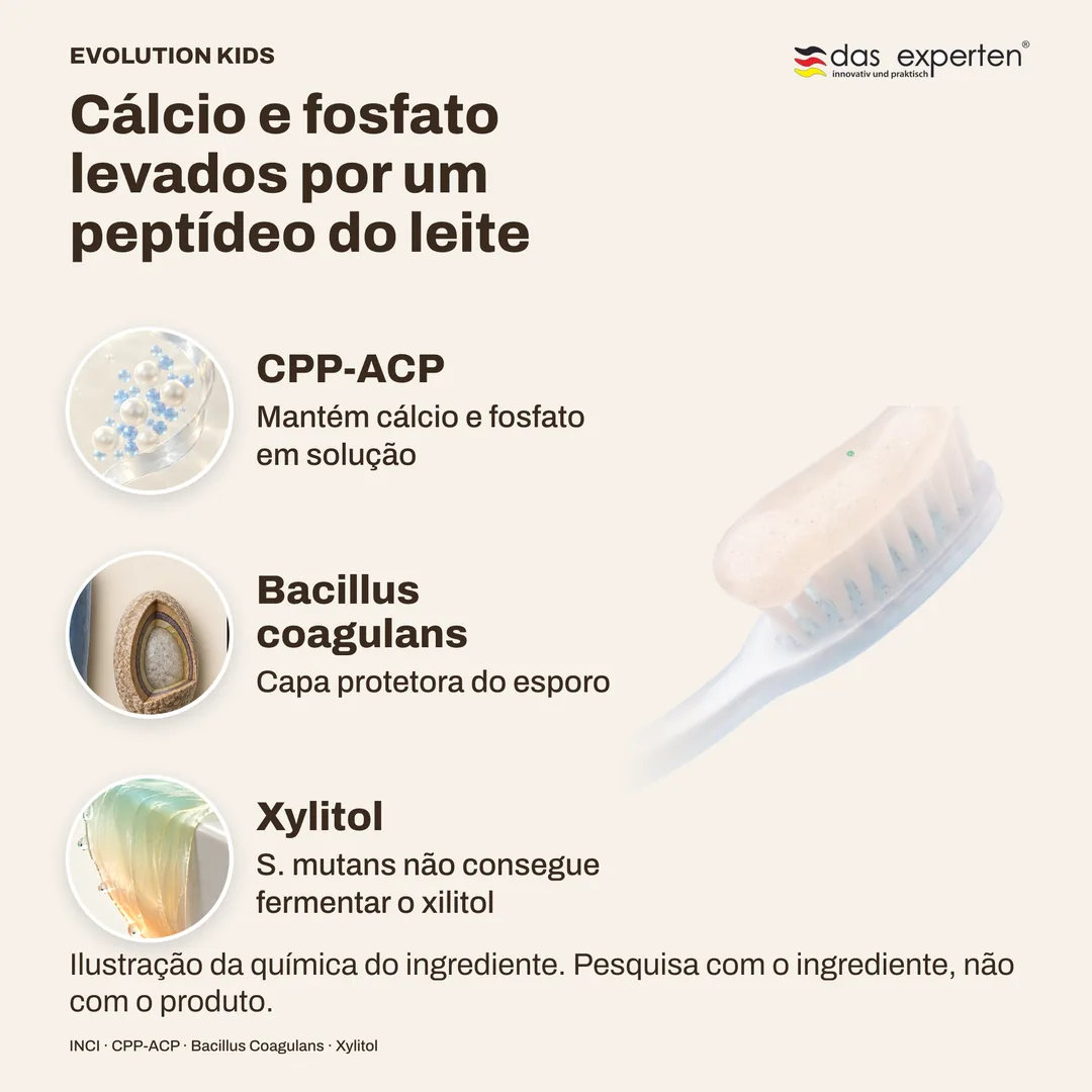 Cálcio e fosfato levados por um peptídeo do leite · Bacillus coagulans · Xylitol