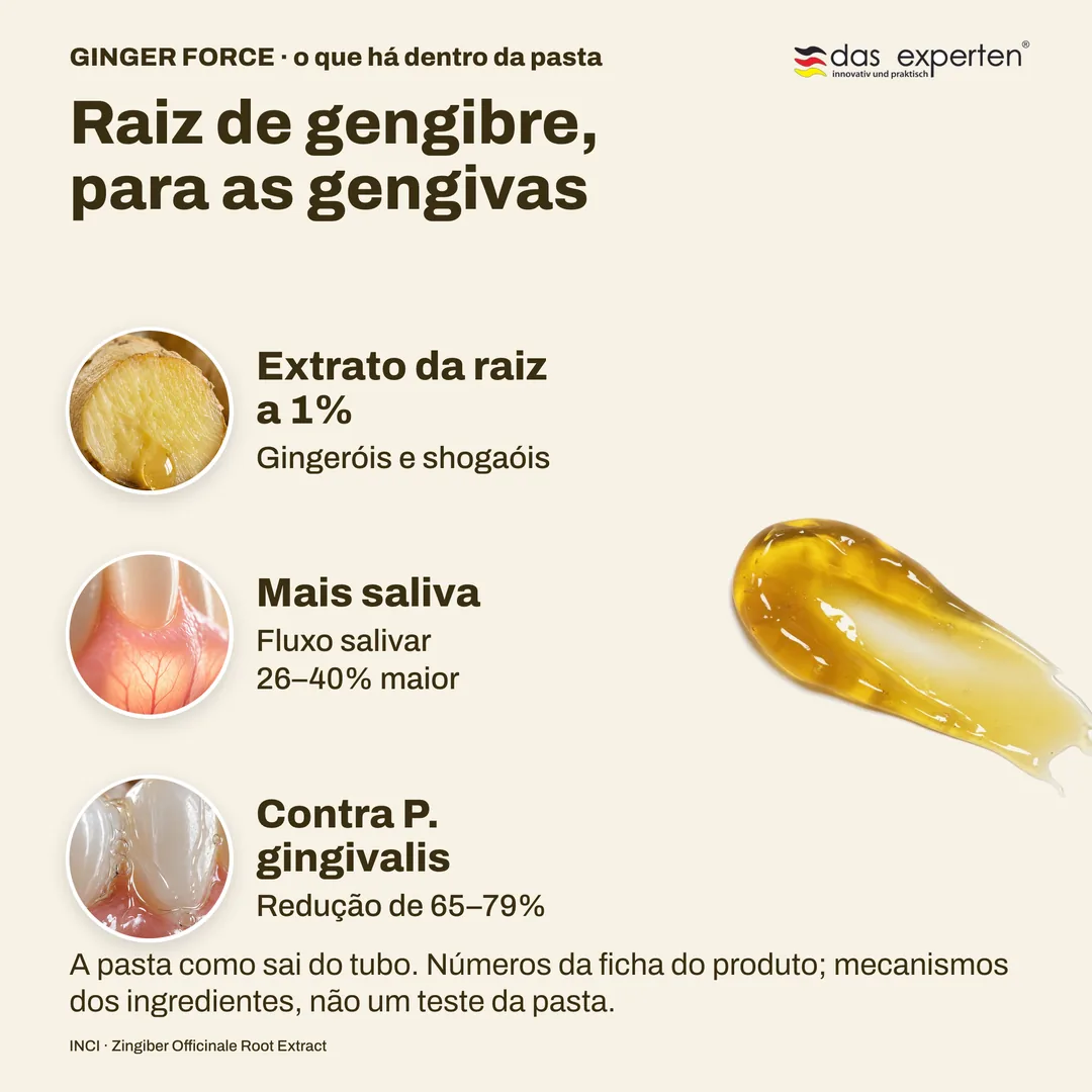 Raiz de gengibre, para as gengivas — Extrato da raiz a 1%; Mais saliva; Contra P. gingivalis