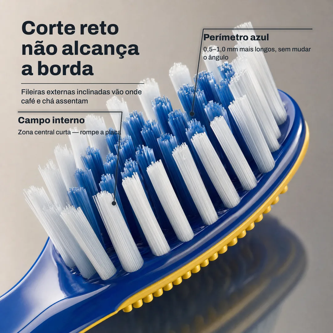 Corte reto não alcança a borda — Fileiras externas inclinadas vão onde café e chá assentam · Perímetro azul: 0,5–1,0 mm mais longos, sem mudar o ângulo · Campo interno: Zona central curta — rompe a placa