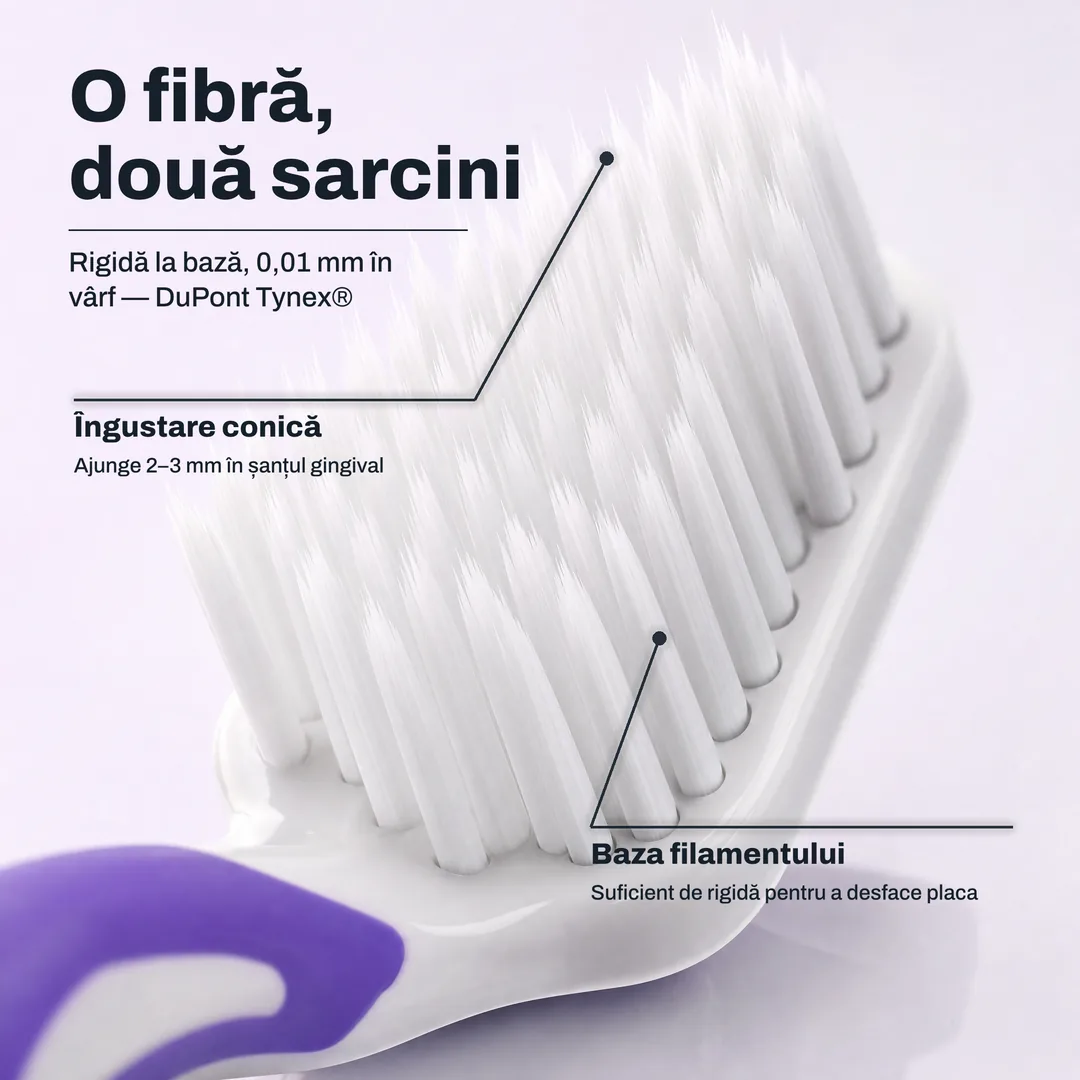 O fibră, două sarcini — Rigidă la bază, 0,01 mm în vârf — DuPont Tynex® · Îngustare conică: Ajunge 2–3 mm în șanțul gingival · Baza filamentului: Suficient de rigidă pentru a desface placa