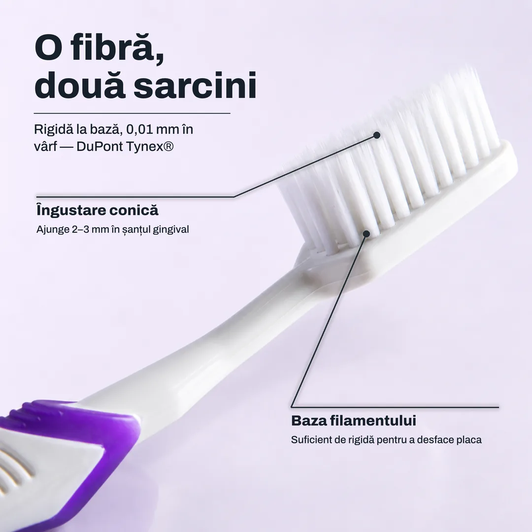 O fibră, două sarcini — Rigidă la bază, 0,01 mm în vârf — DuPont Tynex® · Îngustare conică: Ajunge 2–3 mm în șanțul gingival · Baza filamentului: Suficient de rigidă pentru a desface placa
