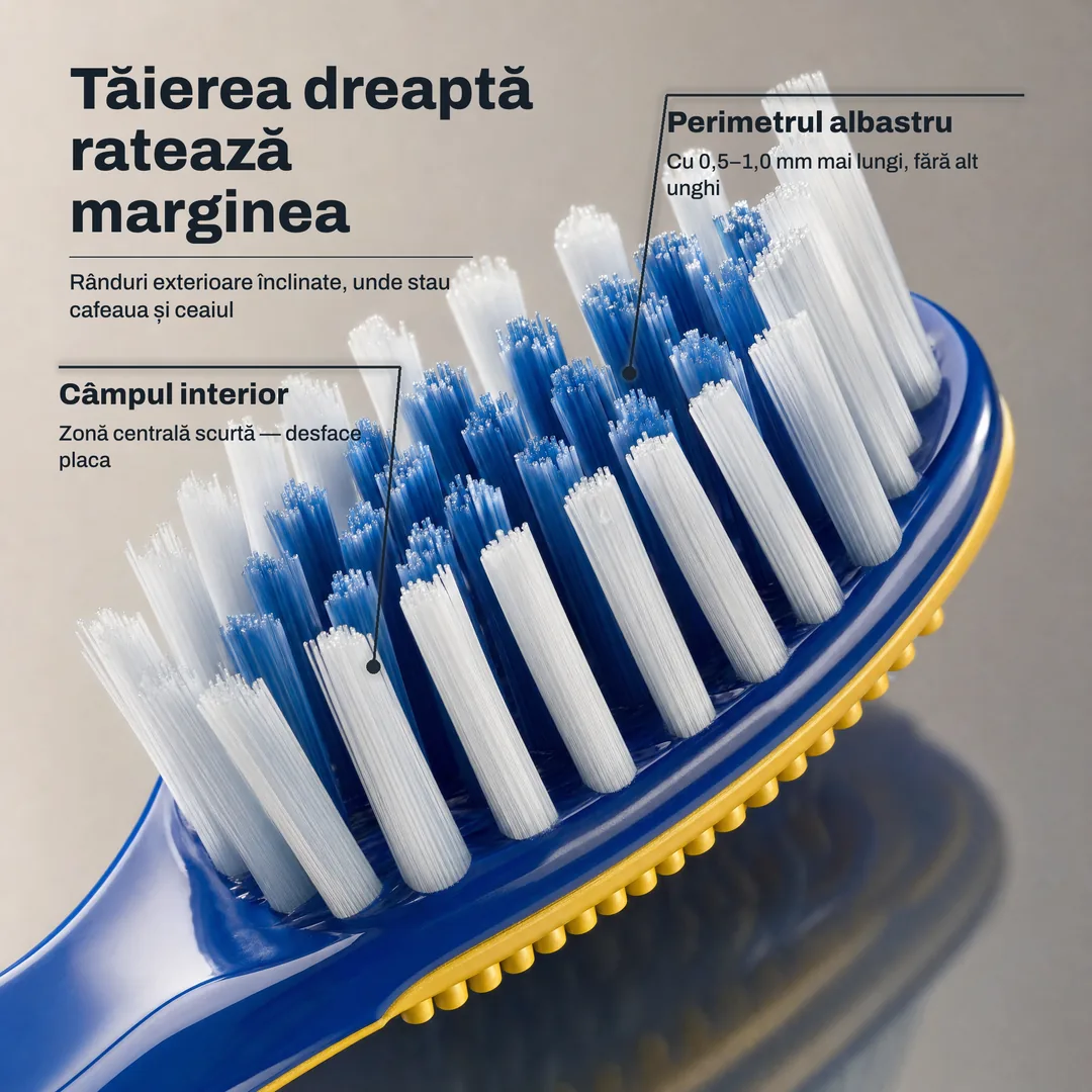 Tăierea dreaptă ratează marginea — Rânduri exterioare înclinate, unde stau cafeaua și ceaiul · Perimetrul albastru: Cu 0,5–1,0 mm mai lungi, fără alt unghi · Câmpul interior: Zonă centrală scurtă — desface placa