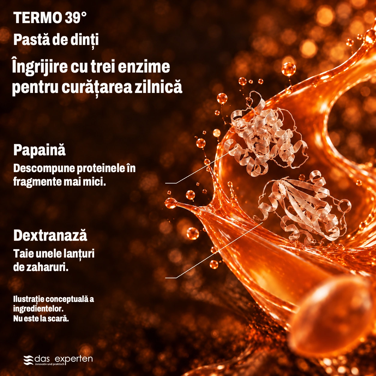 TERMO 39° · Îngrijire cu trei enzime · pentru curățarea zilnică · Ilustrație conceptuală a ingredientelor. · Nu este la scară.