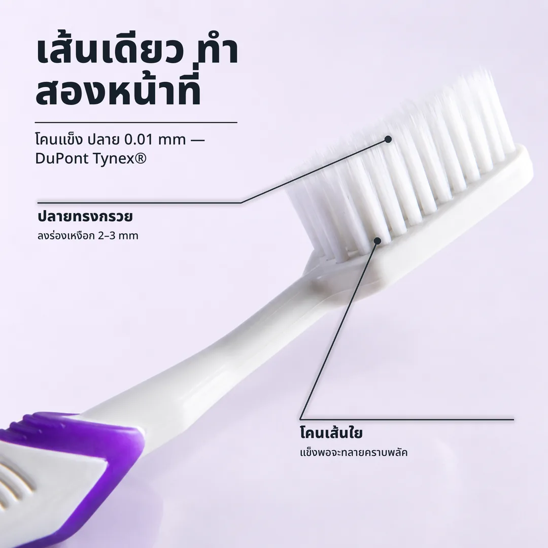 เส้นเดียว ทำสองหน้าที่ — โคนแข็ง ปลาย 0.01 mm — DuPont Tynex® · ปลายทรงกรวย: ลงร่องเหงือก 2–3 mm · โคนเส้นใย: แข็งพอจะทลายคราบพลัค
