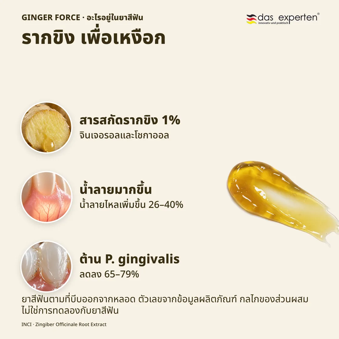 รากขิง เพื่อเหงือก — สารสกัดรากขิง 1%; น้ำลายมากขึ้น; ต้าน P. gingivalis
