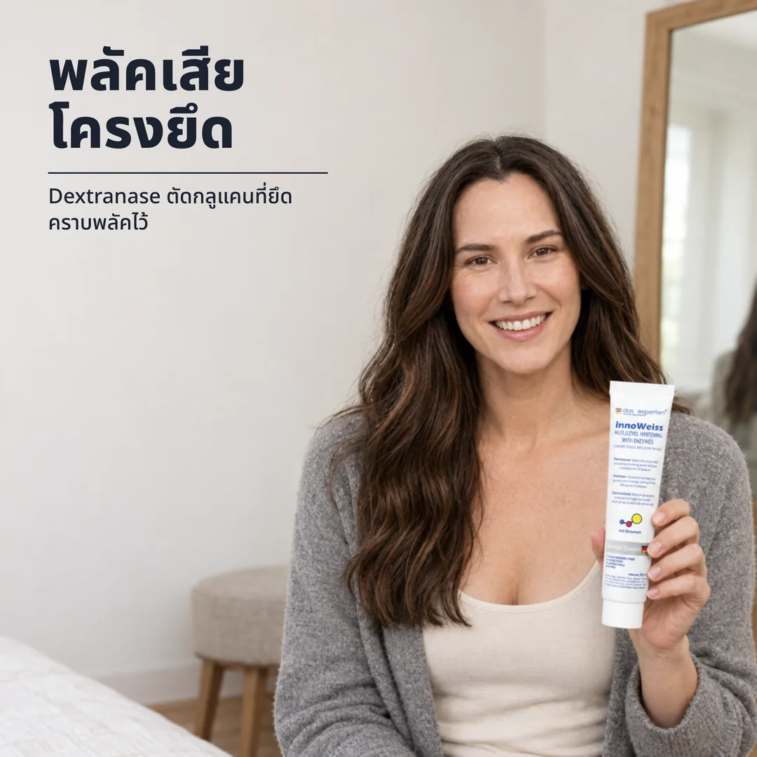 พลัคเสียโครงยึด — Dextranase ตัดกลูแคนที่ยึดคราบพลัคไว้
