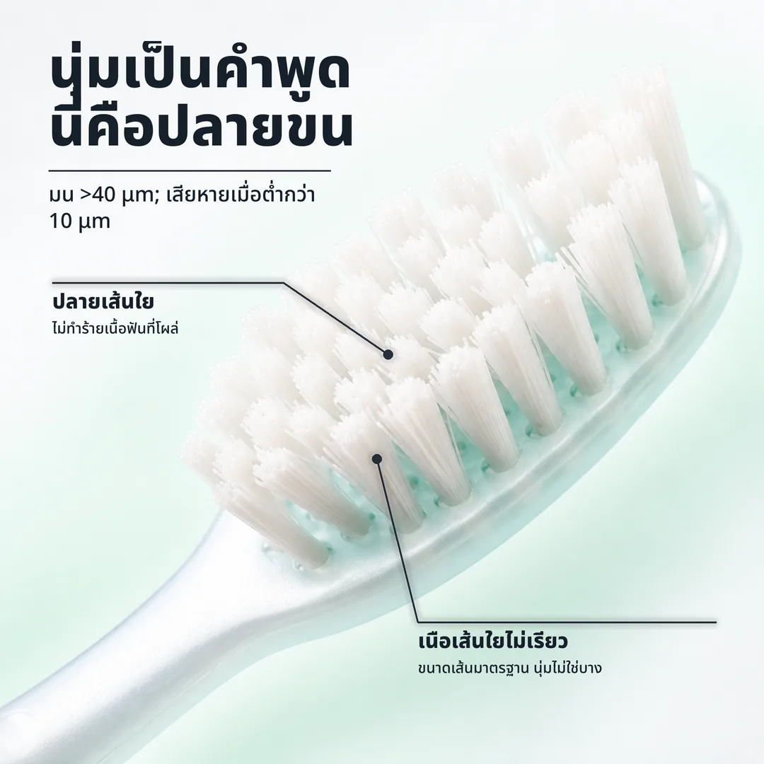 นุ่มเป็นคำพูด นี่คือปลายขน — มน >40 μm; เสียหายเมื่อต่ำกว่า 10 μm · ปลายเส้นใย: ไม่ทำร้ายเนื้อฟันที่โผล่ · เนื้อเส้นใยไม่เรียว: ขนาดเส้นมาตรฐาน นุ่มไม่ใช่บาง