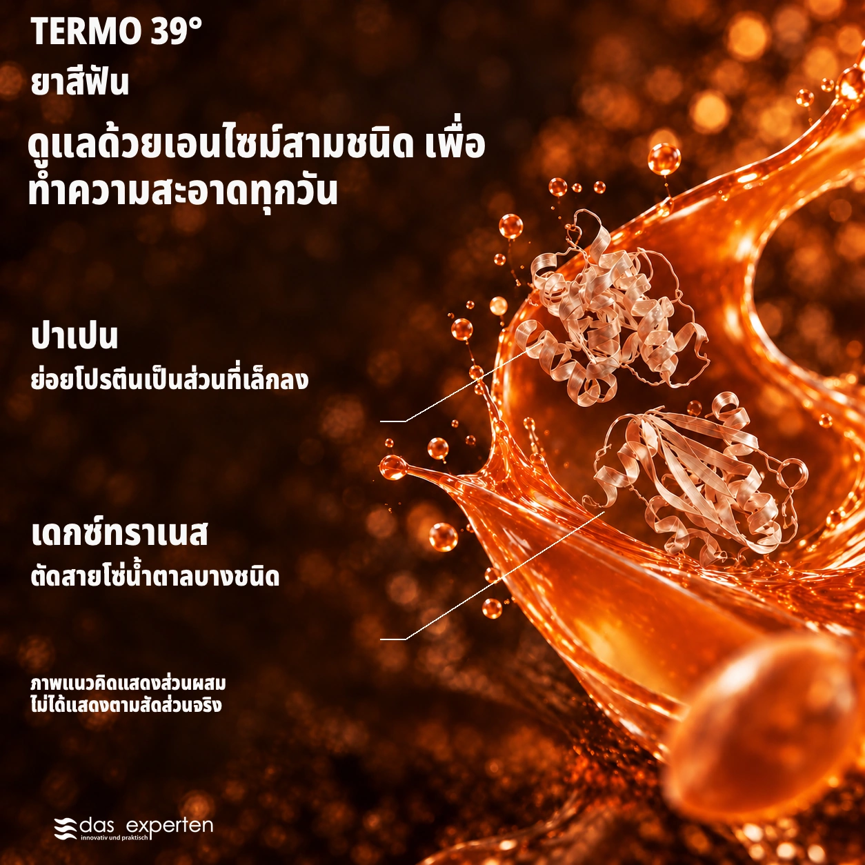 TERMO 39° · ดูแลด้วยเอนไซม์สามชนิด · เพื่อทำความสะอาดทุกวัน · ภาพแนวคิดแสดงส่วนผสม · ไม่ได้แสดงตามสัดส่วนจริง