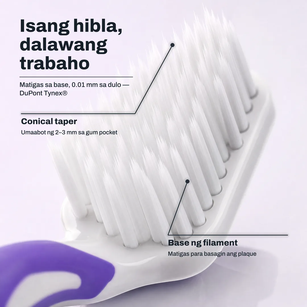 Isang hibla, dalawang trabaho — Matigas sa base, 0.01 mm sa dulo — DuPont Tynex® · Conical taper: Umaabot ng 2–3 mm sa gum pocket · Base ng filament: Matigas para basagin ang plaque