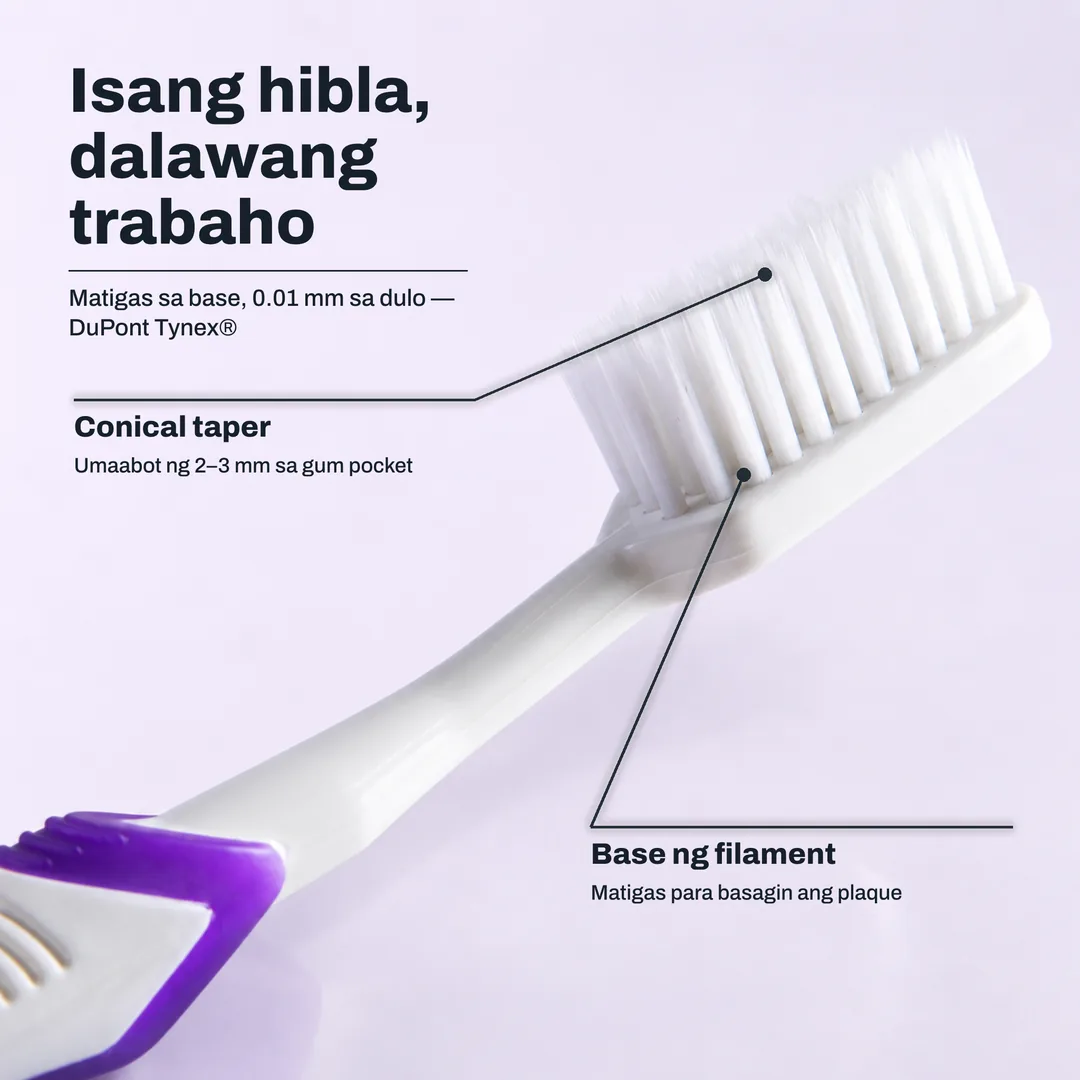 Isang hibla, dalawang trabaho — Matigas sa base, 0.01 mm sa dulo — DuPont Tynex® · Conical taper: Umaabot ng 2–3 mm sa gum pocket · Base ng filament: Matigas para basagin ang plaque