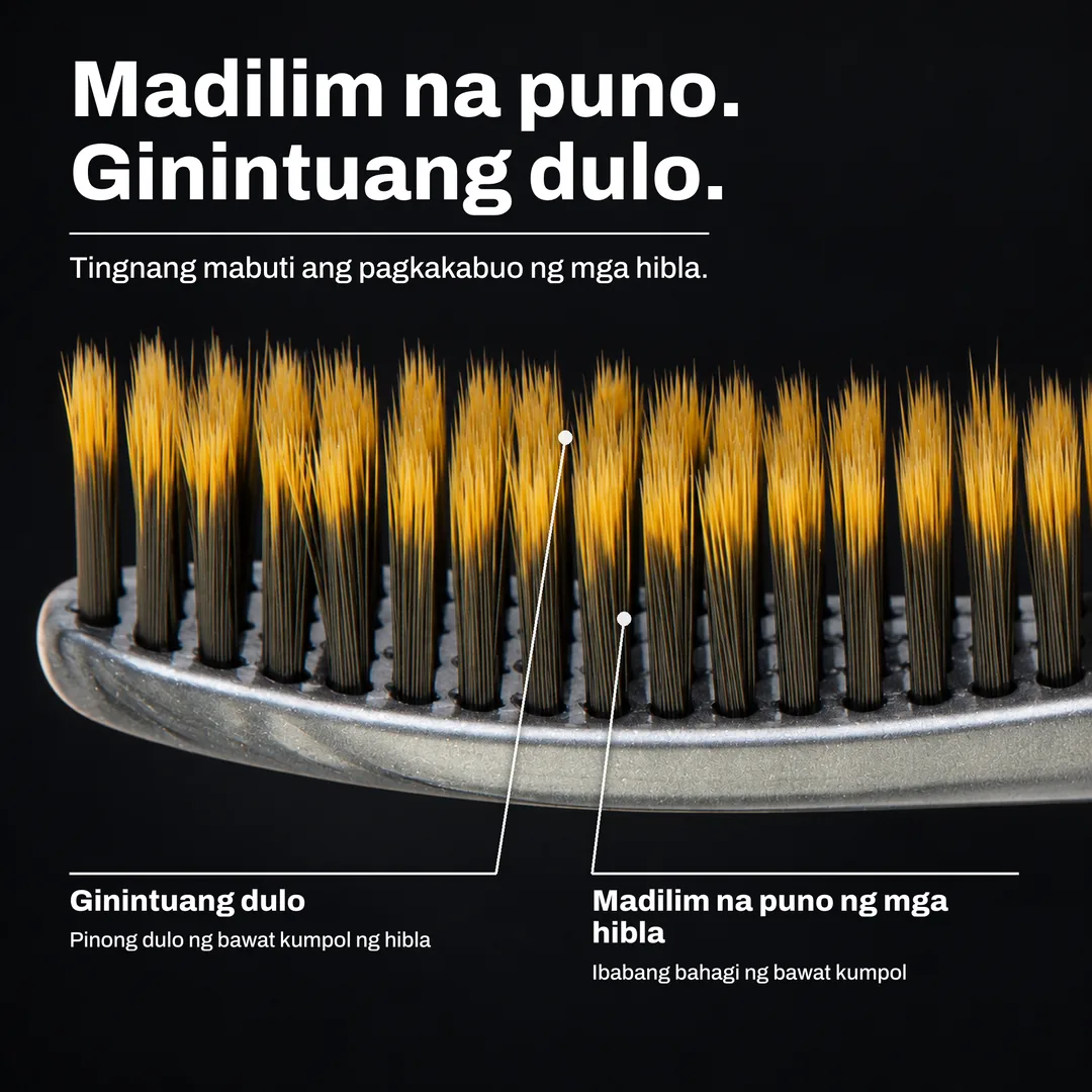 Madilim na puno. Ginintuang dulo. Tingnang mabuti ang pagkakabuo ng mga hibla. Ginintuang dulo: Pinong dulo ng bawat kumpol ng hibla. Madilim na puno ng mga hibla: Ibabang bahagi ng bawat kumpol.