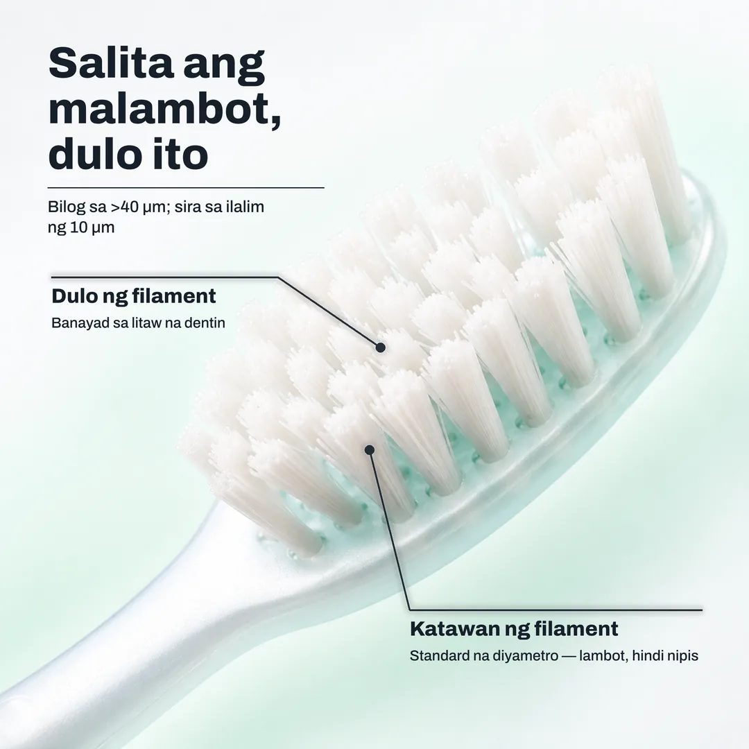 Salita ang malambot, dulo ito — Bilog sa >40 μm; sira sa ilalim ng 10 μm · Dulo ng filament: Banayad sa litaw na dentin · Katawan ng filament: Standard na diyametro — lambot, hindi nipis