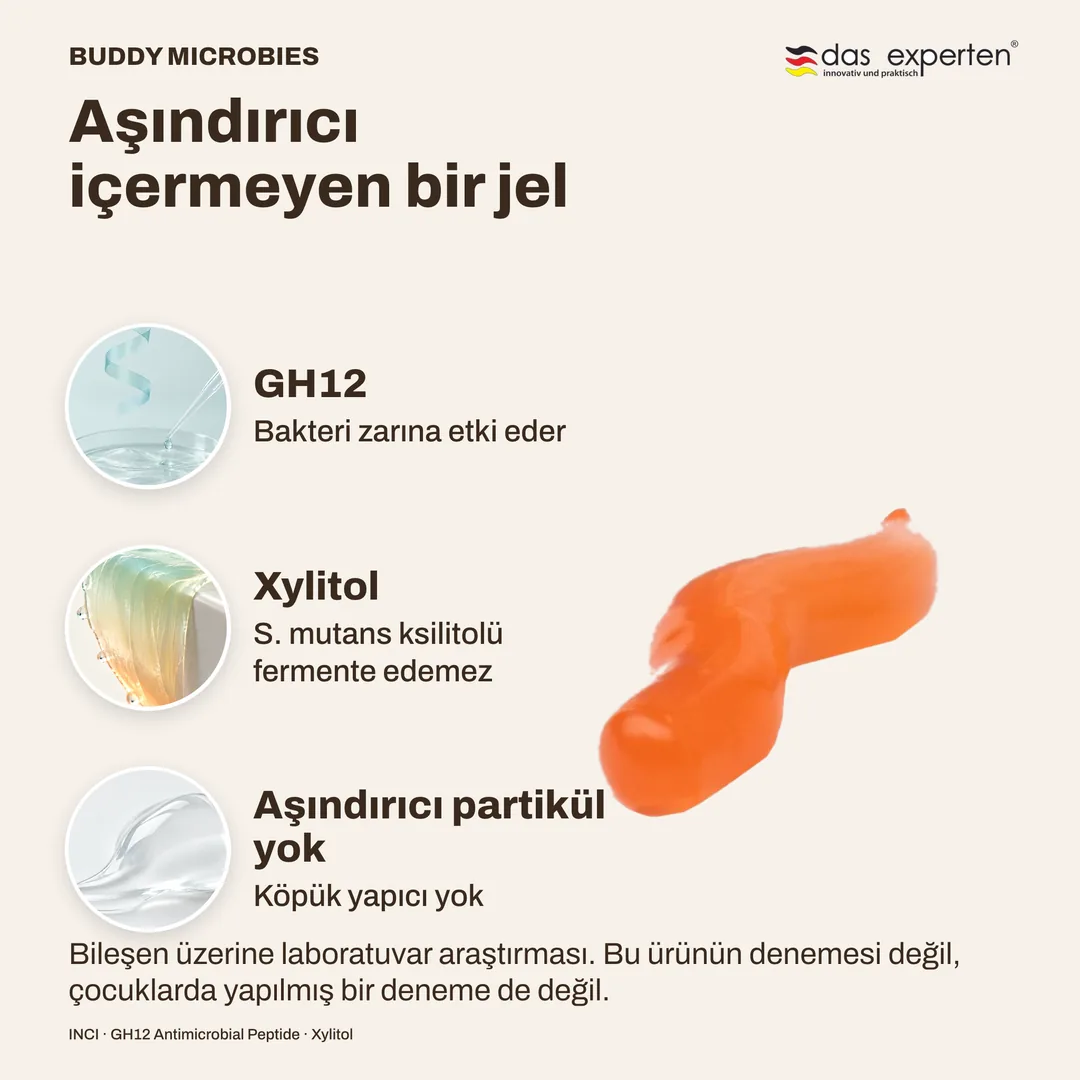 Aşındırıcı içermeyen bir jel · GH12 · Xylitol
