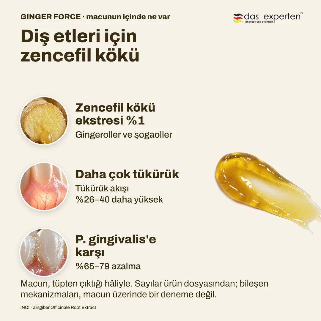 Diş etleri için zencefil kökü — Zencefil kökü ekstresi %1; Daha çok tükürük; P. gingivalis'e karşı