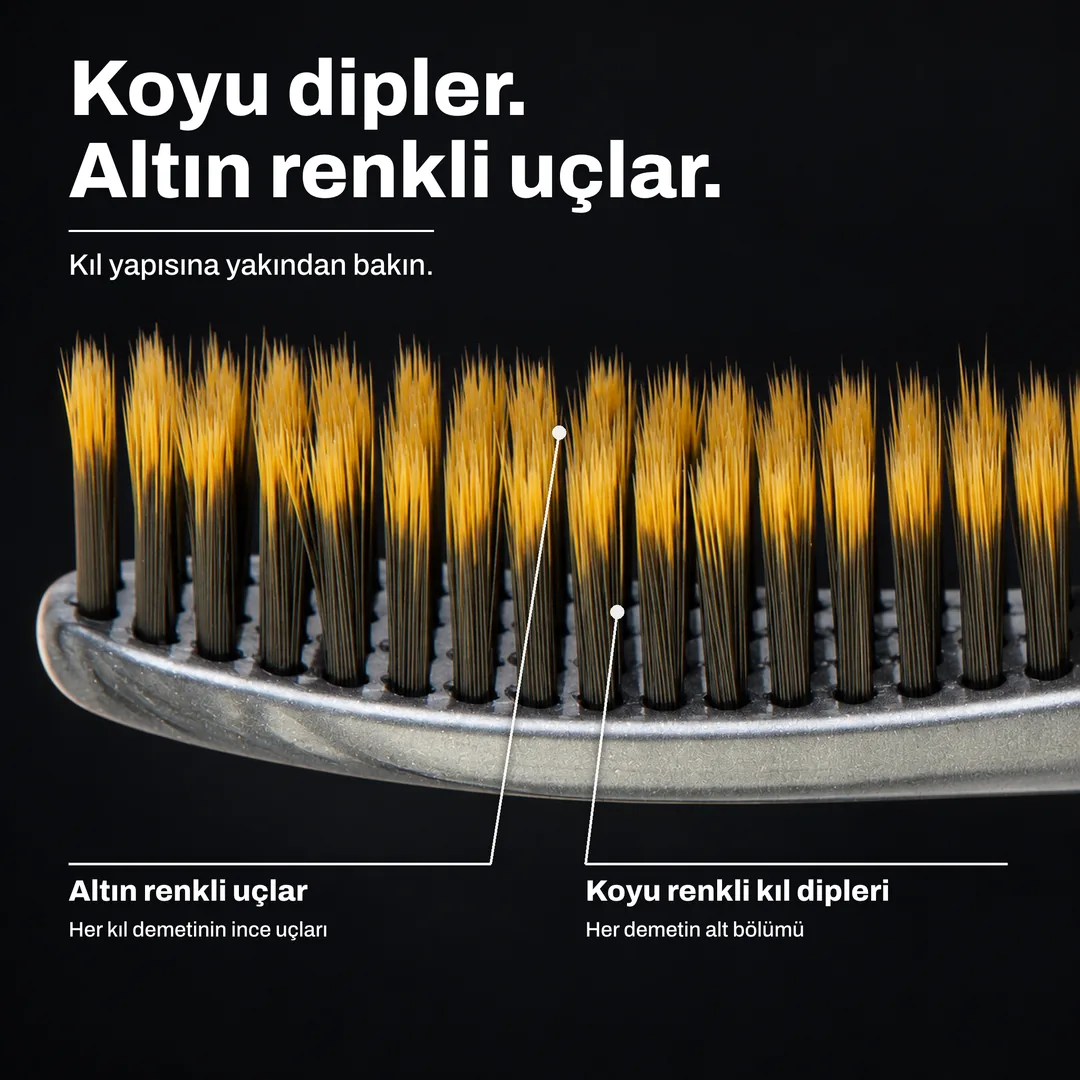 Koyu dipler. Altın renkli uçlar. Kıl yapısına yakından bakın. Altın renkli uçlar: Her kıl demetinin ince uçları. Koyu renkli kıl dipleri: Her demetin alt bölümü.