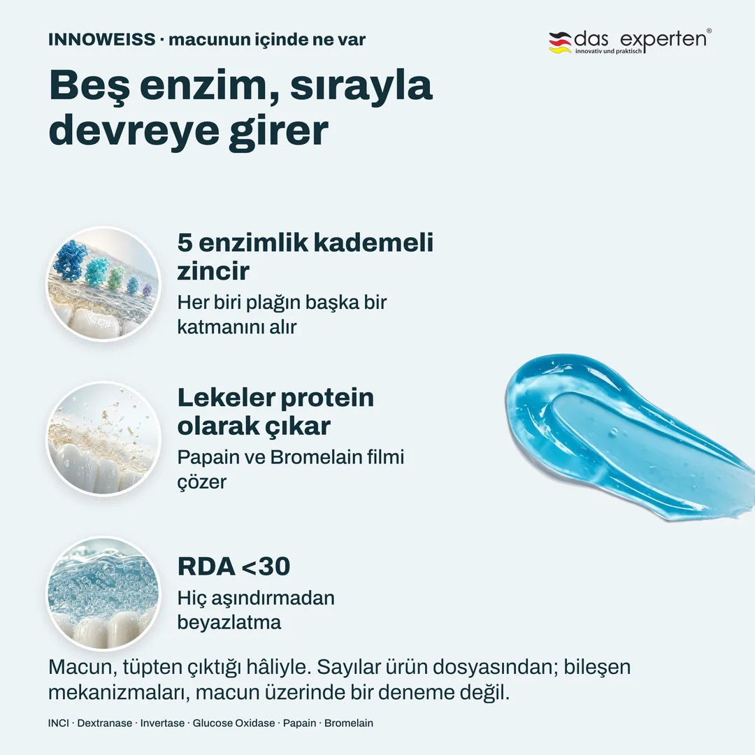 Beş enzim, sırayla devreye girer — 5 enzimlik kademeli zincir; Lekeler protein olarak çıkar; RDA <30