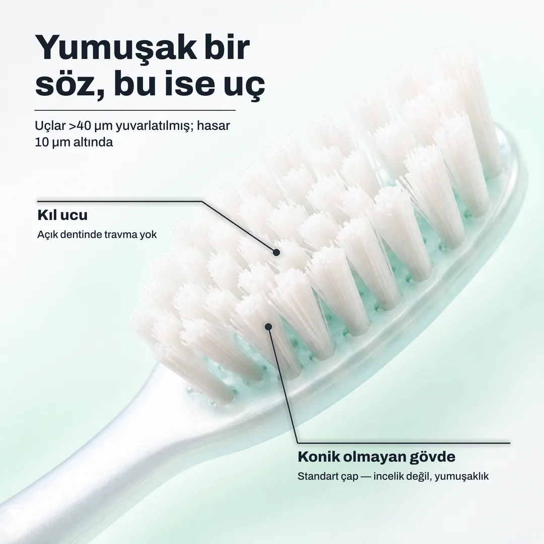 Yumuşak bir söz, bu ise uç — Uçlar >40 μm yuvarlatılmış; hasar 10 μm altında · Kıl ucu: Açık dentinde travma yok · Konik olmayan gövde: Standart çap — incelik değil, yumuşaklık