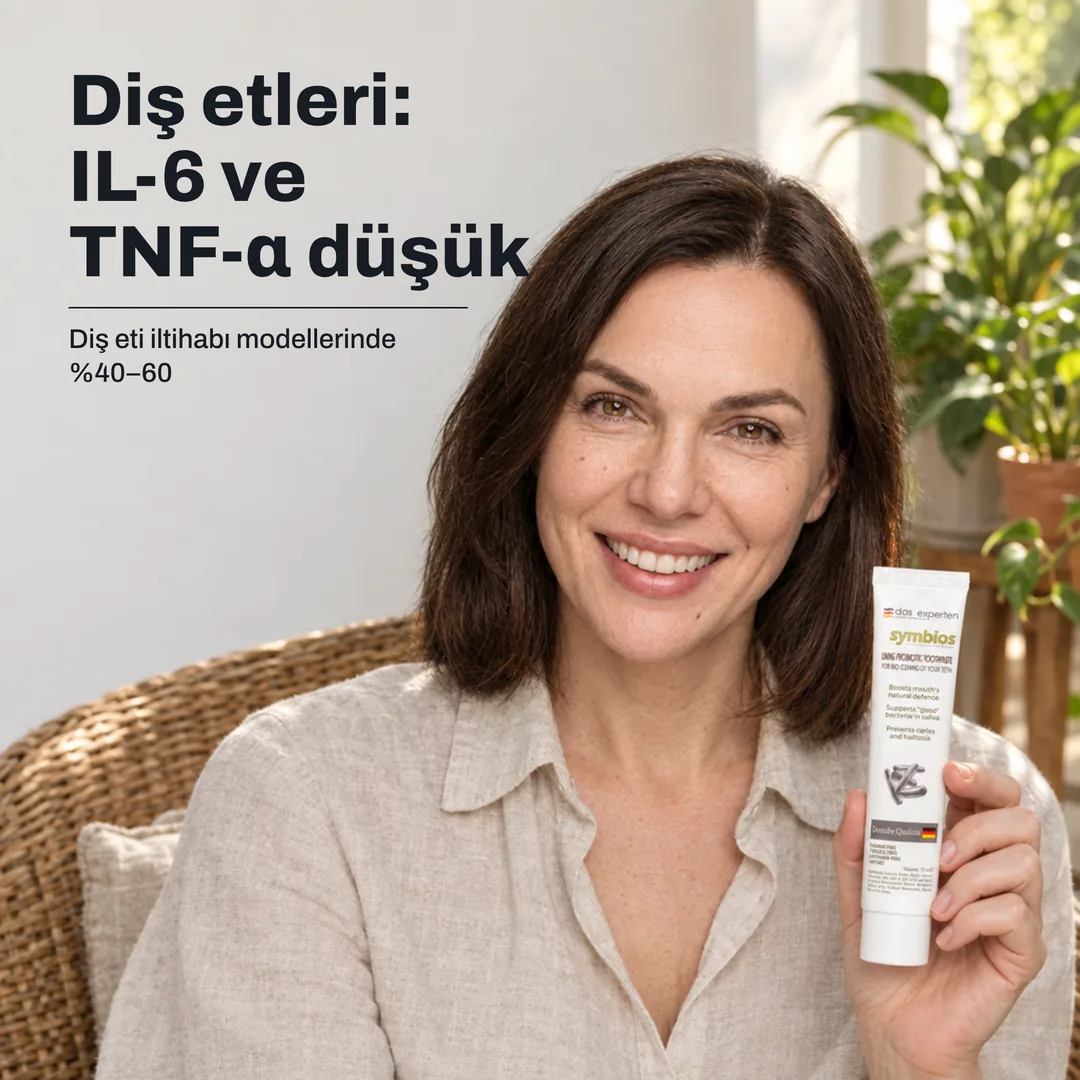 Diş etleri: IL-6 ve TNF-α düşük — Diş eti iltihabı modellerinde %40–60