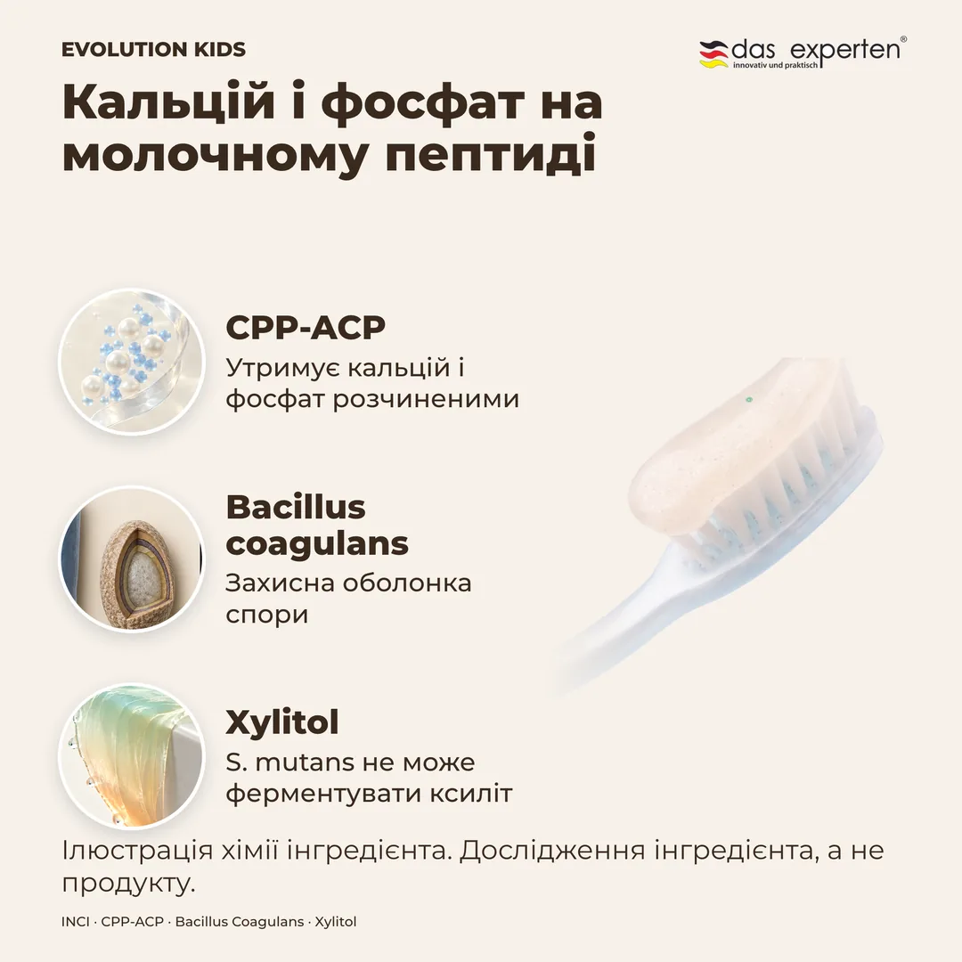 Кальцій і фосфат на молочному пептиді · Bacillus coagulans · Xylitol