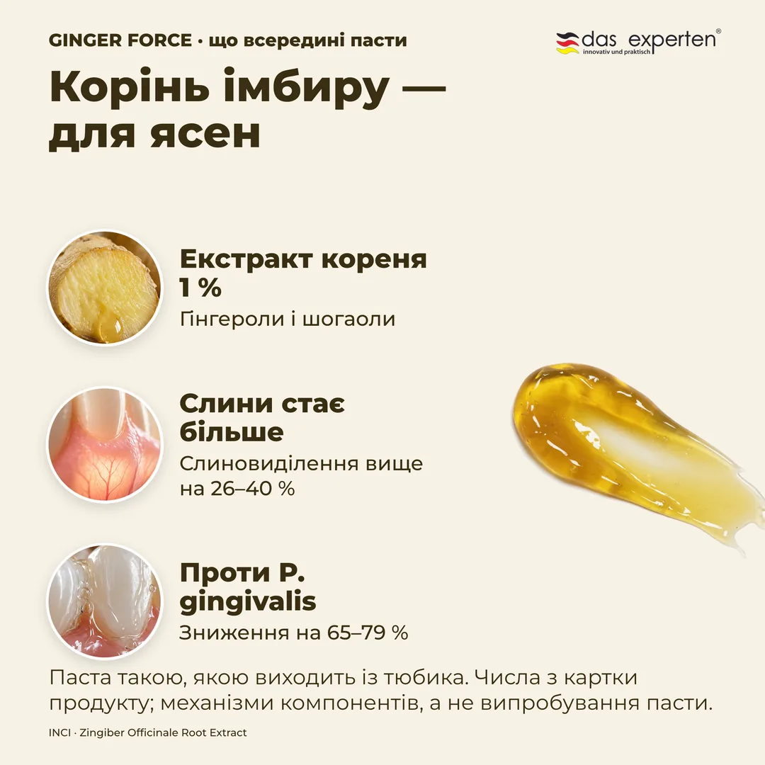 Корінь імбиру — для ясен — Екстракт кореня 1 %; Слини стає більше; Проти P. gingivalis