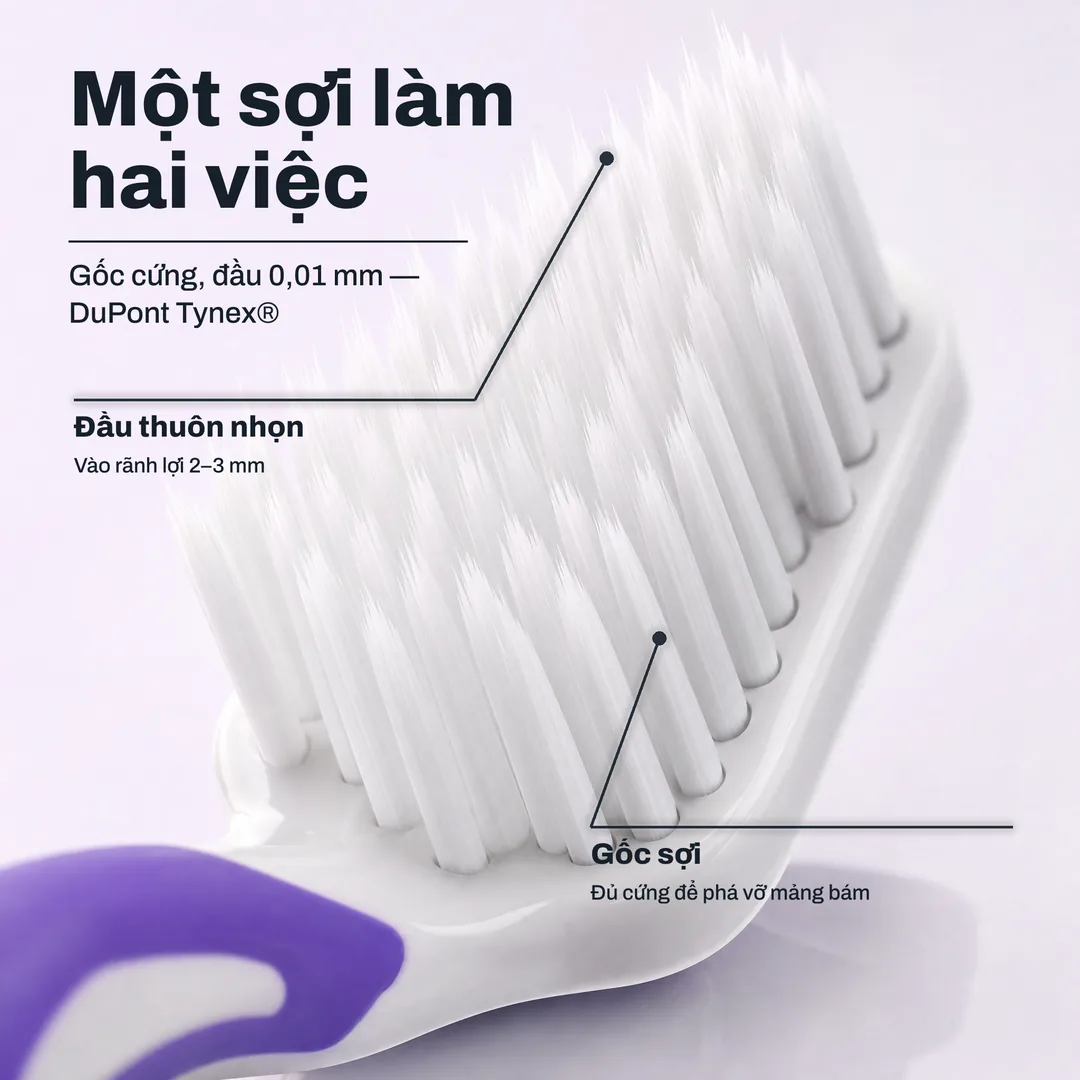 Một sợi làm hai việc — Gốc cứng, đầu 0,01 mm — DuPont Tynex® · Đầu thuôn nhọn: Vào rãnh lợi 2–3 mm · Gốc sợi: Đủ cứng để phá vỡ mảng bám