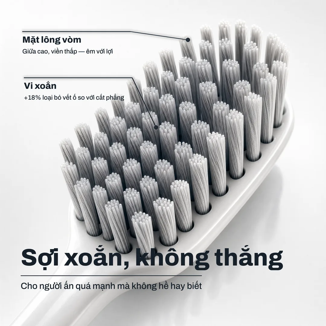 Sợi xoắn, không thẳng — Cho người ấn quá mạnh mà không hề hay biết · Vi xoắn: +18% loại bỏ vết ố so với cắt phẳng · Mặt lông vòm: Giữa cao, viền thấp — êm với lợi