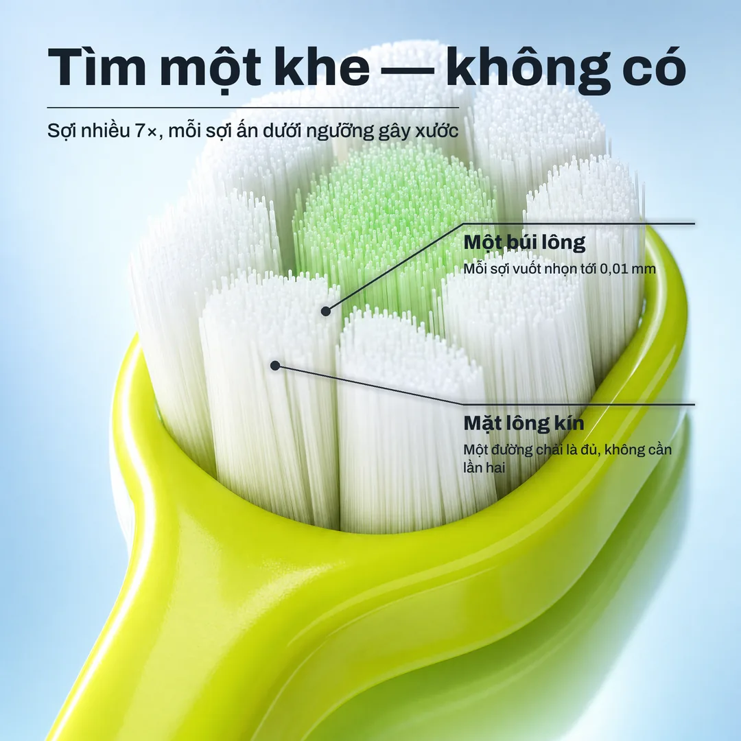 Tìm một khe — không có — Sợi nhiều 7×, mỗi sợi ấn dưới ngưỡng gây xước · Một búi lông: Mỗi sợi vuốt nhọn tới 0,01 mm · Mặt lông kín: Một đường chải là đủ, không cần lần hai