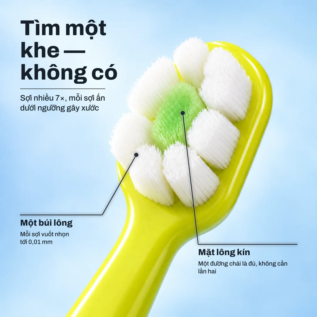 Tìm một khe — không có — Sợi nhiều 7×, mỗi sợi ấn dưới ngưỡng gây xước · Một búi lông: Mỗi sợi vuốt nhọn tới 0,01 mm · Mặt lông kín: Một đường chải là đủ, không cần lần hai