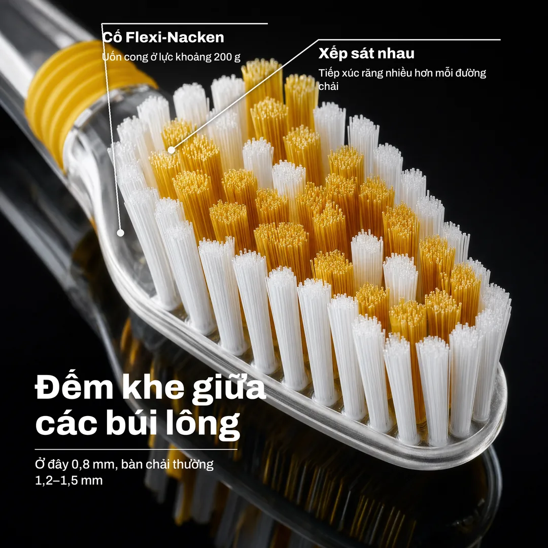 Đếm khe giữa các búi lông — Ở đây 0,8 mm, bàn chải thường 1,2–1,5 mm · Xếp sát nhau: Tiếp xúc răng nhiều hơn mỗi đường chải · Cổ Flexi-Nacken: Uốn cong ở lực khoảng 200 g