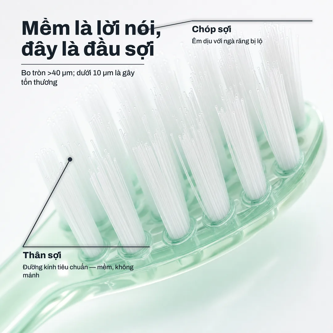 Mềm là lời nói, đây là đầu sợi — Bo tròn >40 μm; dưới 10 μm là gây tổn thương · Chóp sợi: Êm dịu với ngà răng bị lộ · Thân sợi: Đường kính tiêu chuẩn — mềm, không mảnh