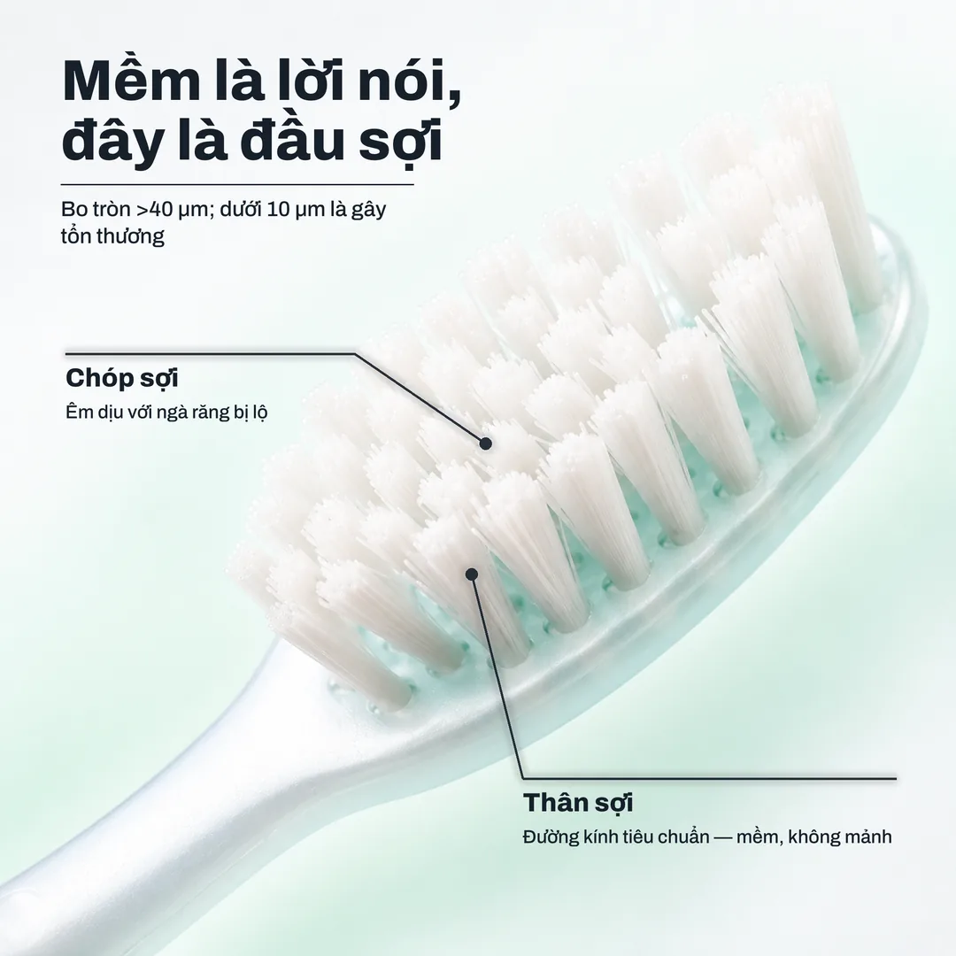 Mềm là lời nói, đây là đầu sợi — Bo tròn >40 μm; dưới 10 μm là gây tổn thương · Chóp sợi: Êm dịu với ngà răng bị lộ · Thân sợi: Đường kính tiêu chuẩn — mềm, không mảnh