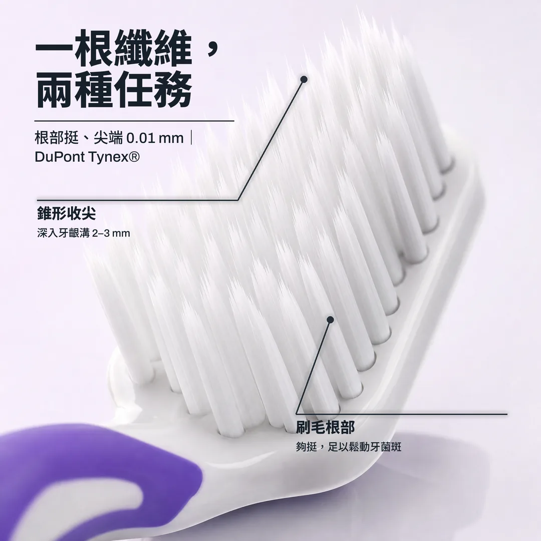 一根纖維，兩種任務 — 根部挺、尖端 0.01 mm｜DuPont Tynex® · 錐形收尖: 深入牙齦溝 2–3 mm · 刷毛根部: 夠挺，足以鬆動牙菌斑
