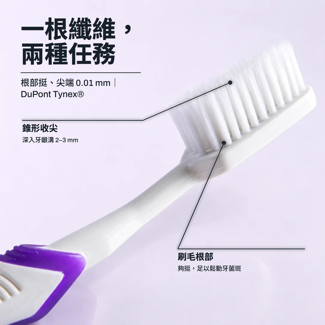一根纖維,兩種任務 — 根部挺、尖端 0.01 mm|DuPont Tynex® · 錐形收尖: 深入牙齦溝 2–3 mm · 刷毛根部: 夠挺,足以鬆動牙菌斑