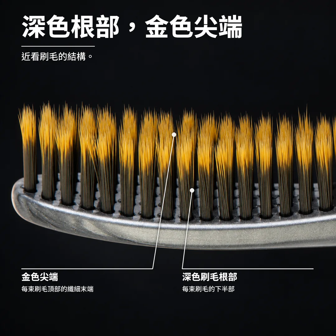 深色根部,金色尖端 近看刷毛的結構。 金色尖端: 每束刷毛頂部的纖細末端. 深色刷毛根部: 每束刷毛的下半部.