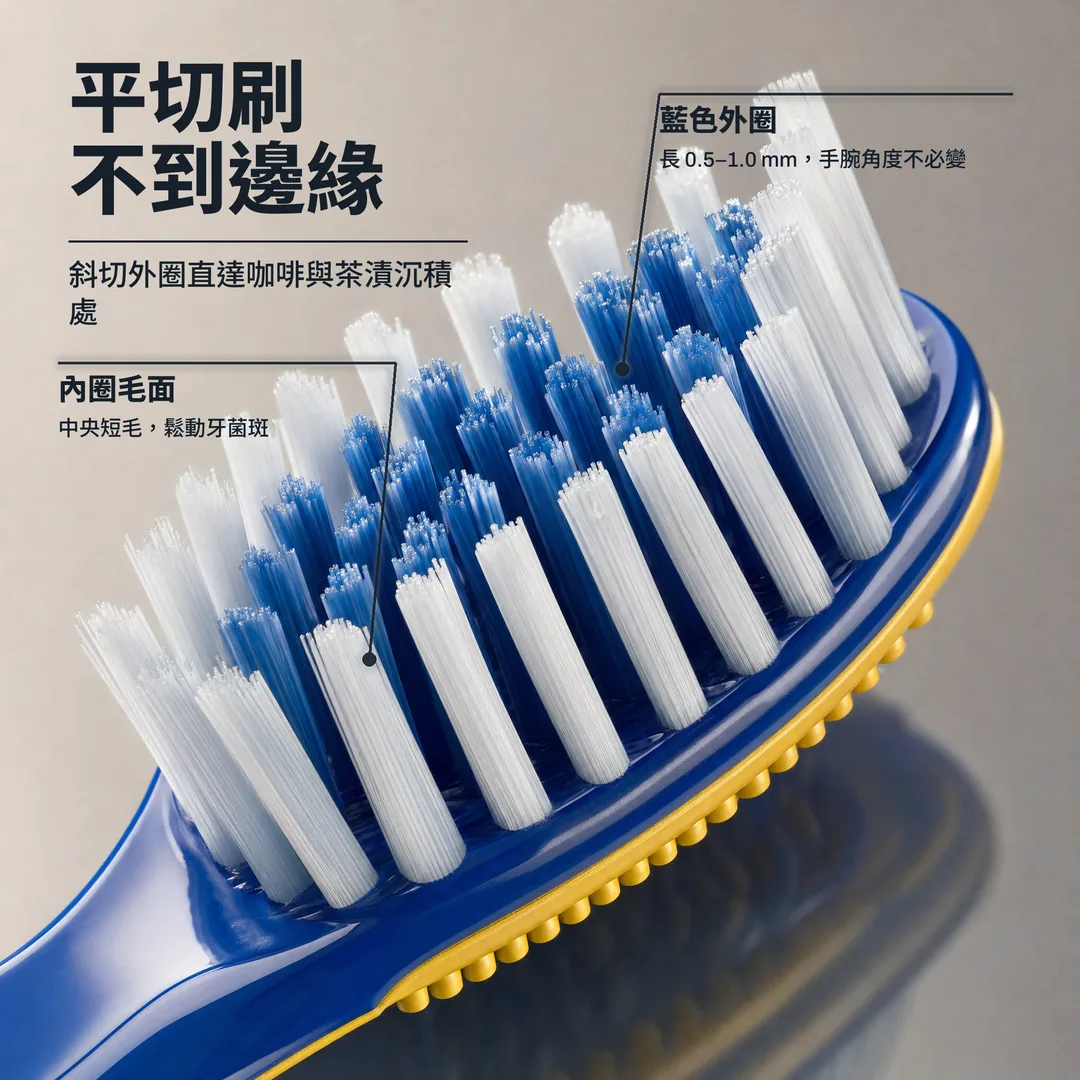 平切刷不到邊緣 — 斜切外圈直達咖啡與茶漬沉積處 · 藍色外圈: 長 0.5–1.0 mm，手腕角度不必變 · 內圈毛面: 中央短毛，鬆動牙菌斑