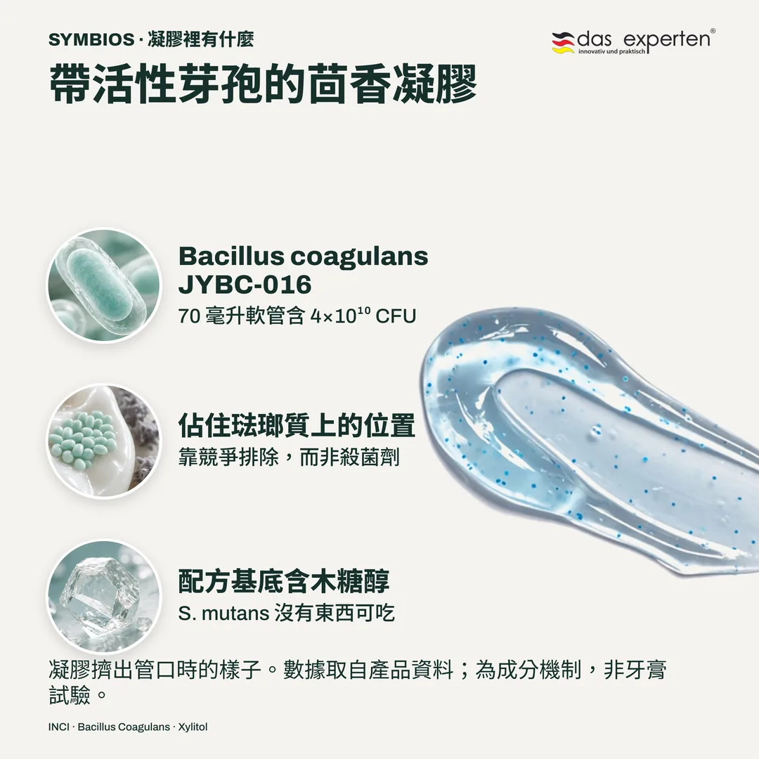帶活性芽孢的茴香凝膠 — Bacillus coagulans JYBC-016; 佔住琺瑯質上的位置; 配方基底含木糖醇